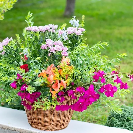 Pyrgaki Parikia (Paros)